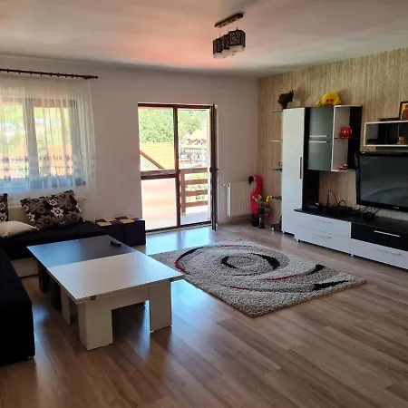 Cosmin Apartament Apartment *
