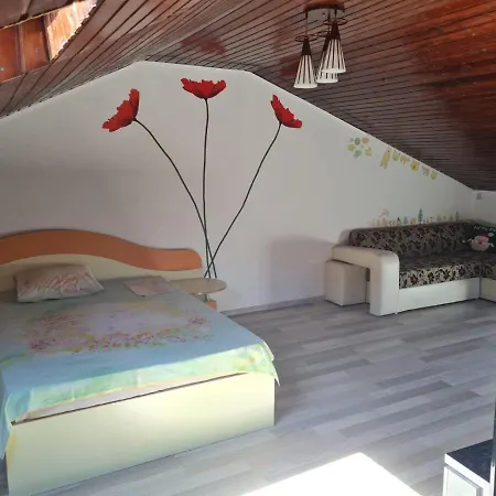 Cosmin Apartament Apartment