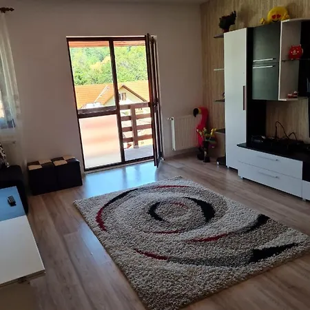 Cosmin Apartament Apartment *