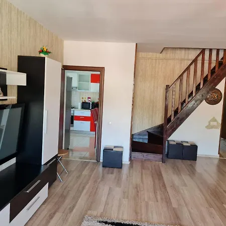 Cosmin Apartament Apartment *