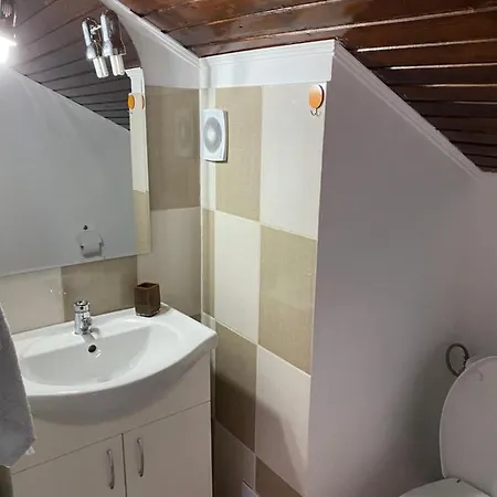 Apartment Cosmin Apartament Busteni