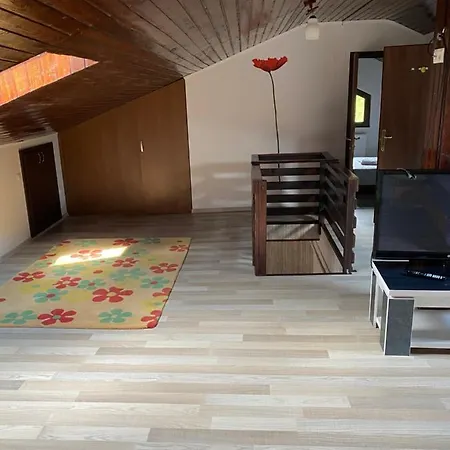 Cosmin Apartament Apartment