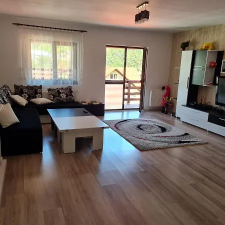 Cosmin Apartament Apartment