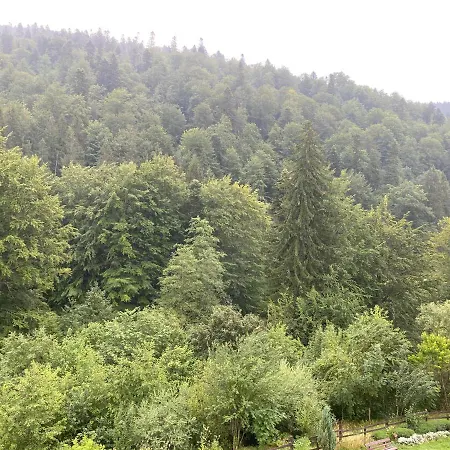Cosmin Apartament * Busteni