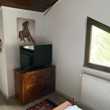 Apartment Cosmin Apartament *