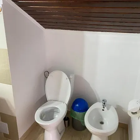 Cosmin Apartament * Busteni