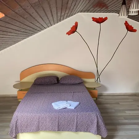 Cosmin Apartament Apartment *